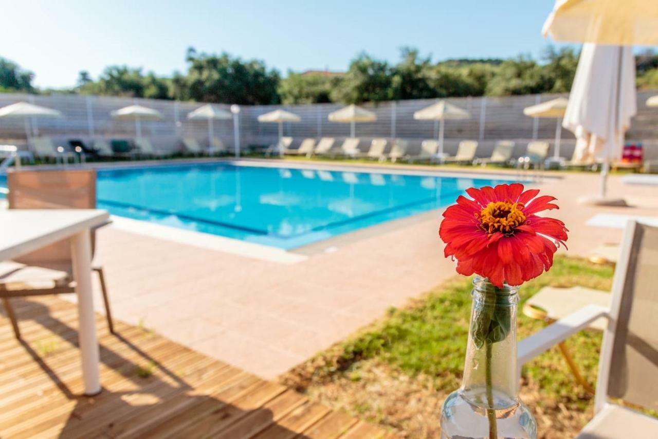 Charming And Comfy House Apartment Agia Marina  Luaran gambar
